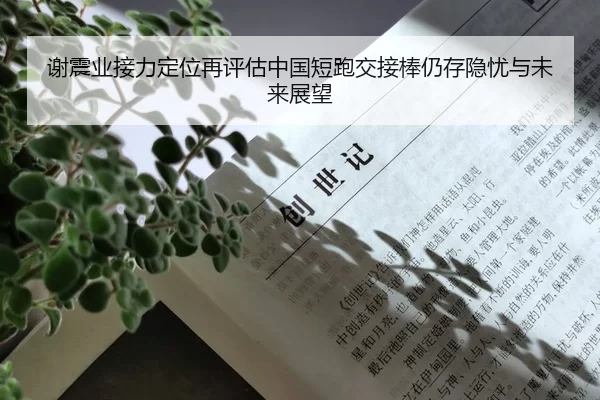 谢震业接力定位再评估中国短跑交接棒仍存隐忧与未来展望