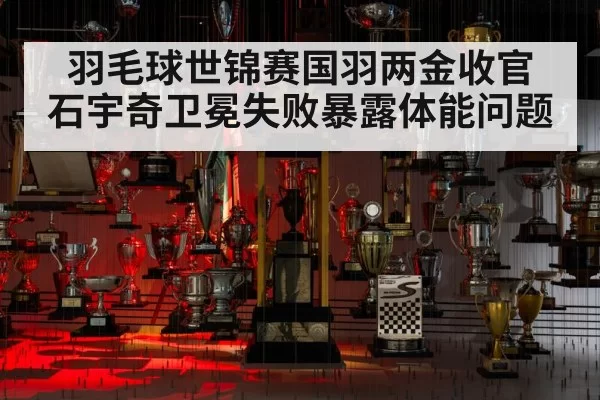 羽毛球世锦赛国羽两金收官 石宇奇卫冕失败暴露体能问题